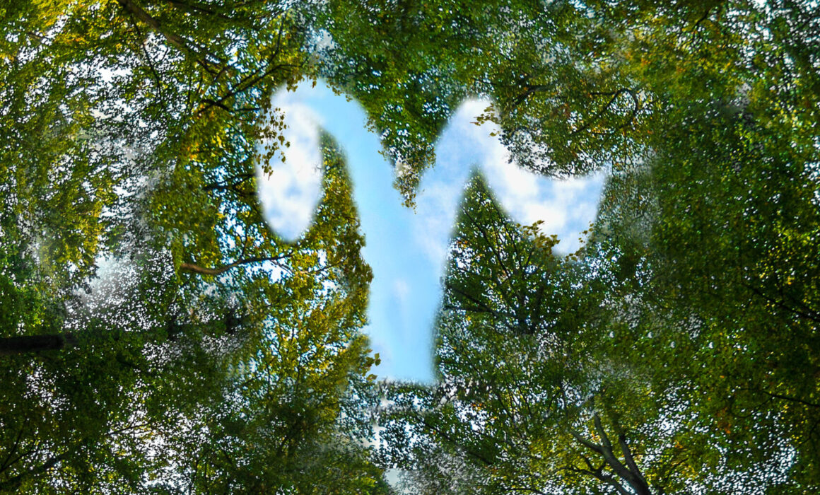 Roshan packages limited commitment to sustainability